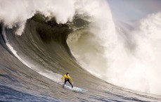 中国体育彩票-郑智正式执掌青岛西海岸帅印，俱乐部坚决否认南美豪门执教传闻